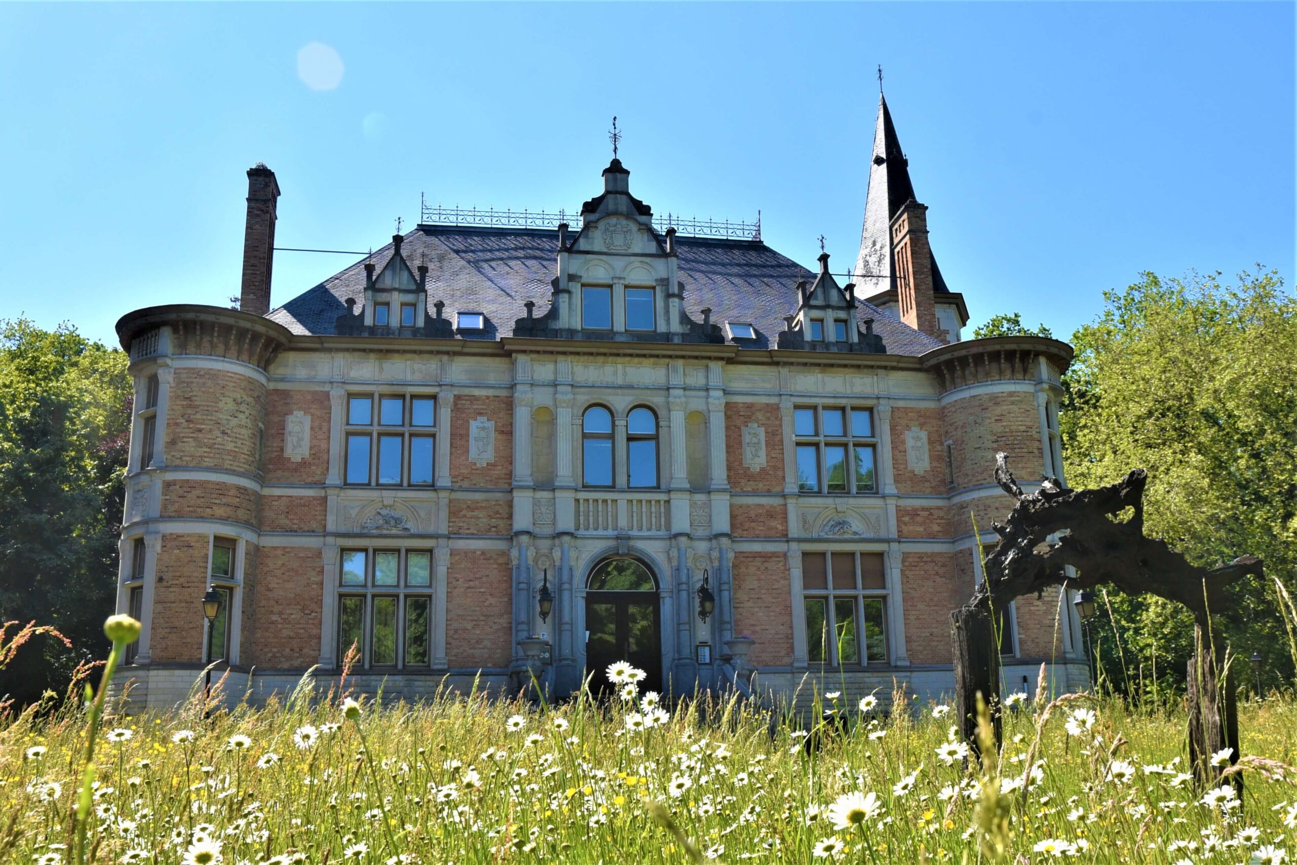 Blankaart kasteel zoemrijk grasland Diksmuide